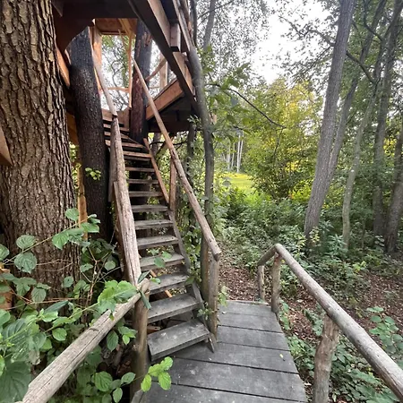 Tree House - Ethno Holistic Village Apace