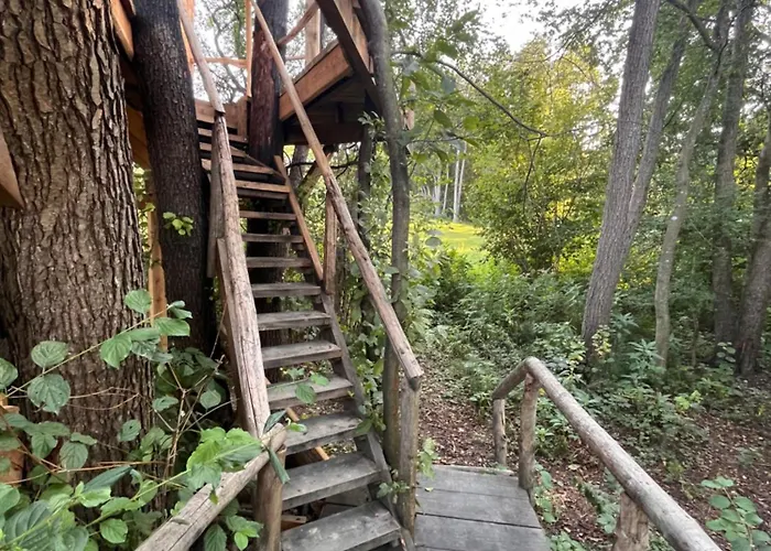 Tree House - Ethno Holistic Village Apace